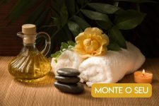 ds-monte-o-seu